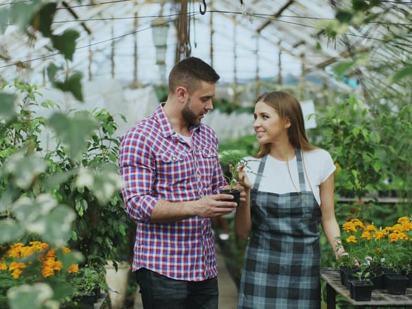 Customers choosing plants in a greenhouse